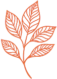 leaf icon